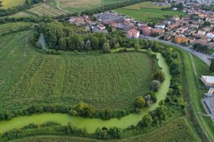 Vegetazione sul Torrente Chiavenna